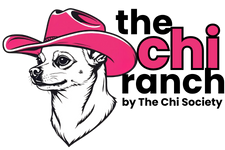 cropped-The-Chi-Ranch-Logo-black.png