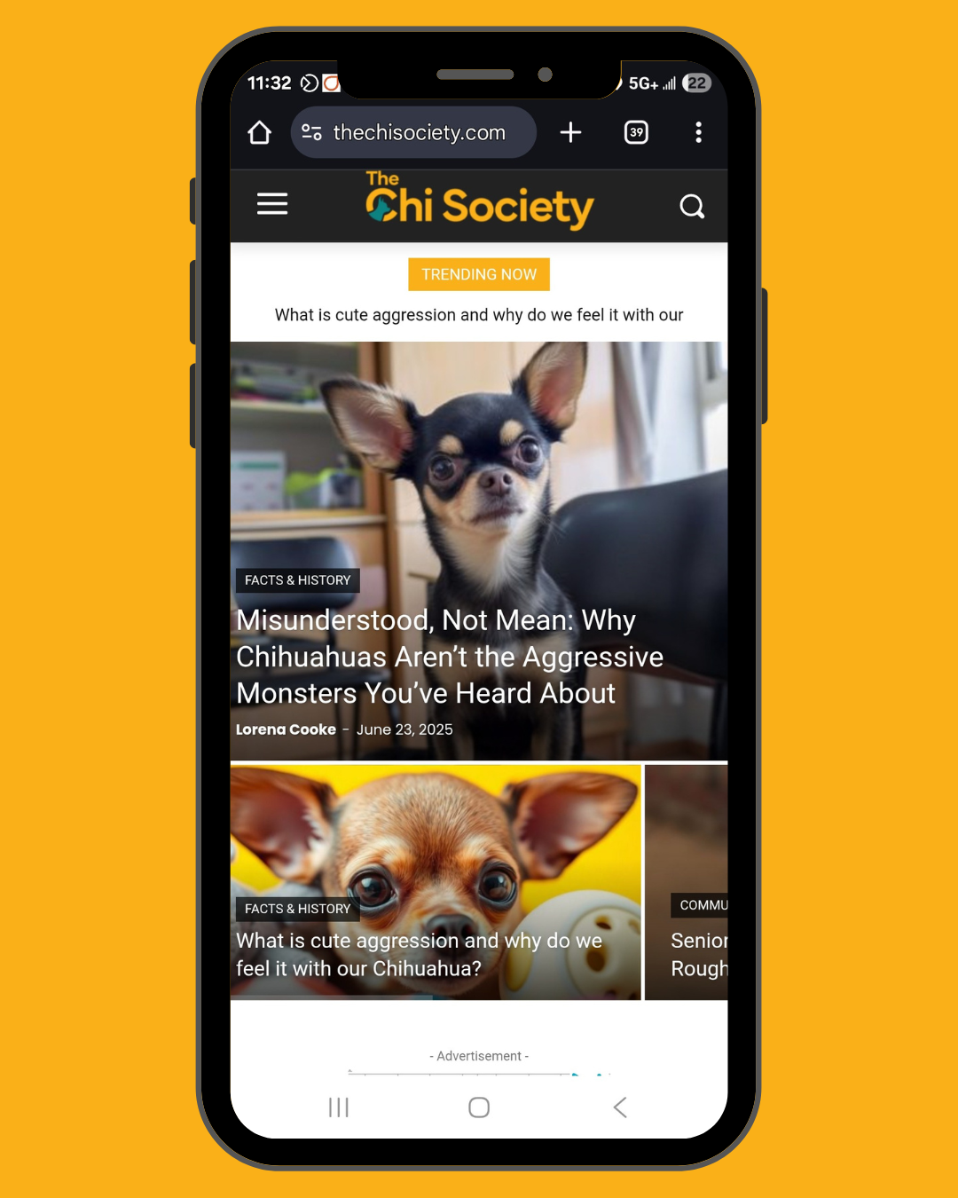 The Chi Society today.